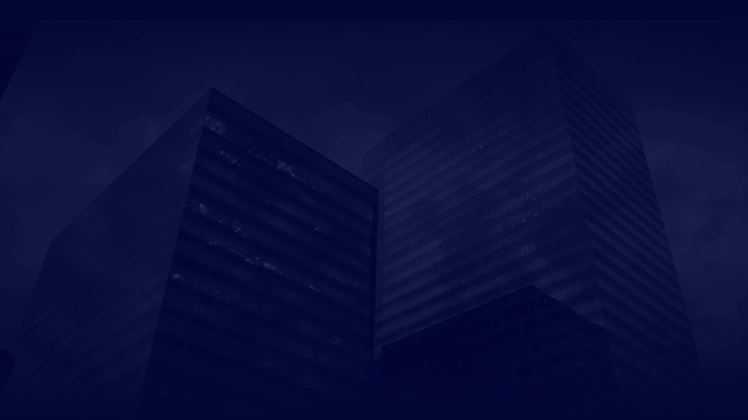 Our portfolio